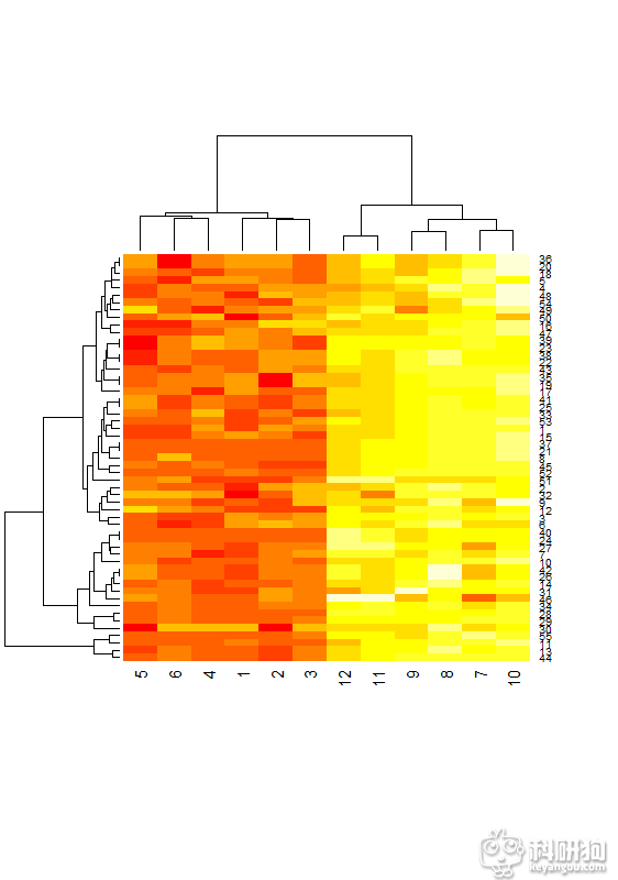 Rplot-heatmap.png