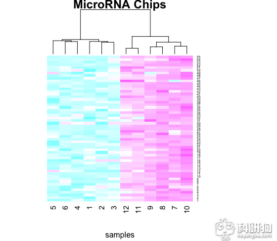 Rplot01.png